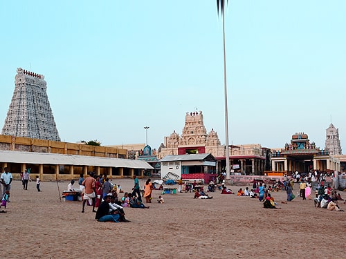 Tamilnadu Seasonal Tour Packages | call 9899567825 Avail 50% Off